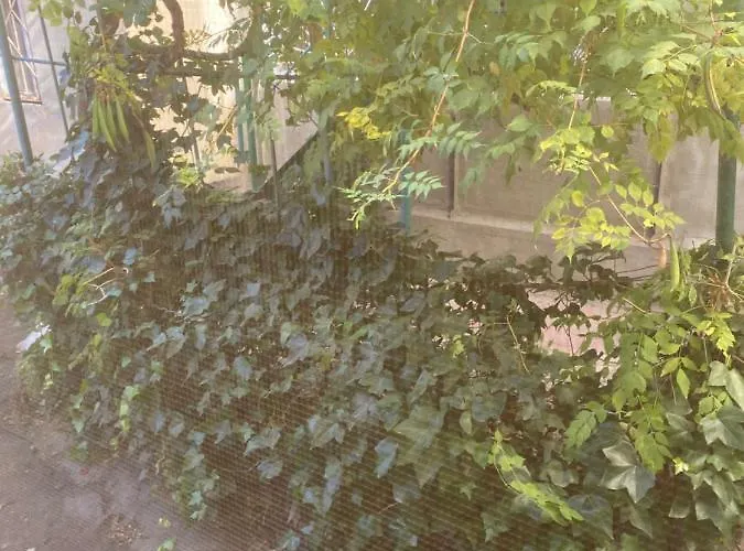 центр города,уютная для отдыха * Odessa